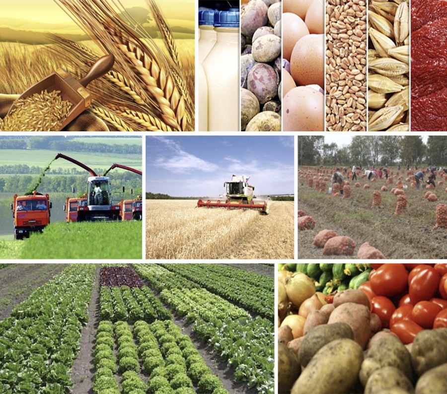 Fruits of Azerbaijan and Regional Agriculture
